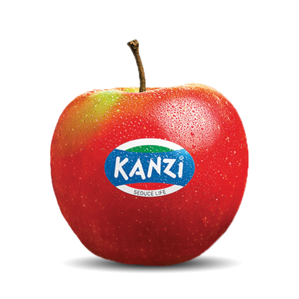 Nicoter / Kanzi®